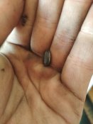 IMG_20201015_154145.jpg