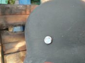 IMG_20201015_154645.jpg