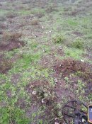 IMG_20201014_161856.jpg