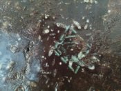 IMG_20201015_171151.jpg