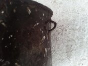 IMG_20201015_171342.jpg