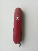IMG_20201016_080833.jpg