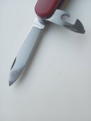 IMG_20201016_080959.jpg