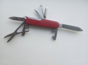 IMG_20201016_081026.jpg