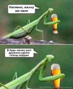 изображение_viber_2020-10-16_11-22-53.jpg