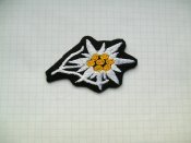 Edelweiss.SS.na.kepi.№1.PICT2321.JPG