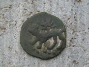 IMGA0334.JPG