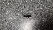 20201016_195038.jpg