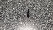 20201016_195013.jpg