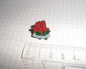 Значок British Red Cross (Червоний Хрест Великобританії)