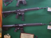 20201016_152908.JPG