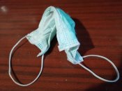 IMG_20201017_091133.jpg