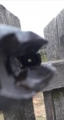 20201016_141448.jpg
