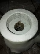 IMG_20201015_164651.jpg