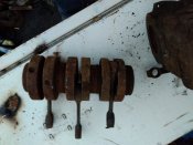 IMG_20201017_172310.jpg