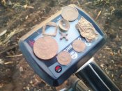 IMG_20200923_184501.jpg