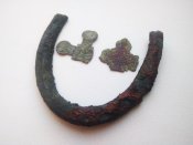 IMG_20201004_100636.jpg