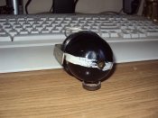 DSC08808.jpg