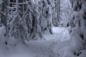 DSC_3613_h.jpg