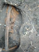 IMG_20201018_140154.jpg