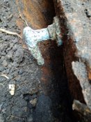 IMG_20201018_140206.jpg
