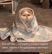 изображение_viber_2020-10-17_21-42-22.jpg