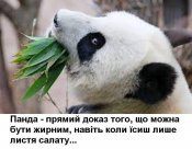 изображение_viber_2020-10-18_13-16-37.jpg