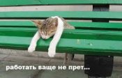 изображение_viber_2020-10-18_07-16-15.jpg
