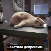 изображение_viber_2020-10-18_20-15-44.jpg