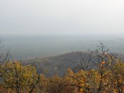 DSCN2990.JPG