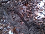 IMG_20130313_125336.jpg