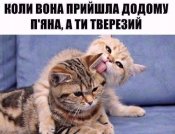 изображение_viber_2020-10-19_19-05-57.jpg