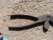 IMG_20201020_112319.jpg