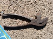 IMG_20201020_112314.jpg