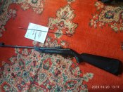 IMG_20201020_131754.jpg