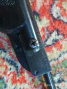 IMG_20201020_132033.jpg