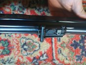 IMG_20201020_132056.jpg