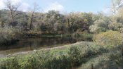 20201020_105944.jpg