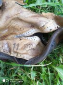 IMG_20201014_155306.jpg