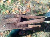 IMG_20201018_105528.jpg