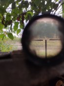 IMG_20200928_175927.jpg