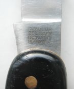 DSCN0331.JPG