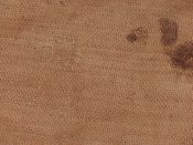 CIMG1764.JPG