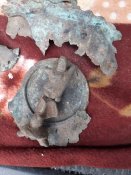 20201003_175157.jpg