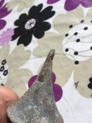 Шишка пікеля