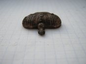 Корона ріа на еполет чи пагон