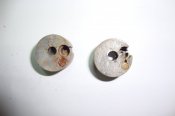 DSC04211.JPG