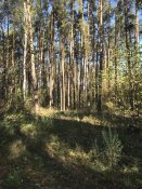 784A4C01-D70C-48B4-896D-2EE5FBA6D2AB.jpeg