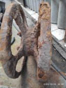 IMG_20201022_163908.jpg
