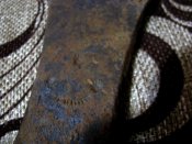 IMG_1198.JPG
